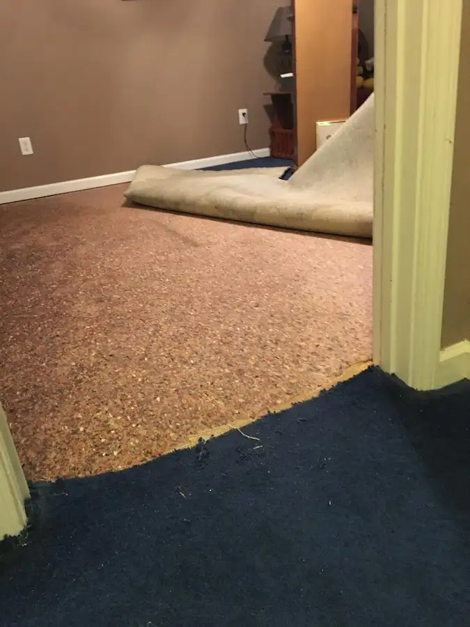 Carpet pad removal revealing water damage during Water Mitigation Services in Sturgis