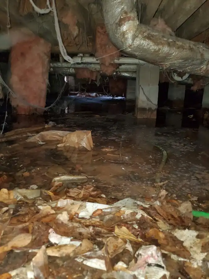 Crawl space flood assessment for Leak Detection & Repair in Sturgis