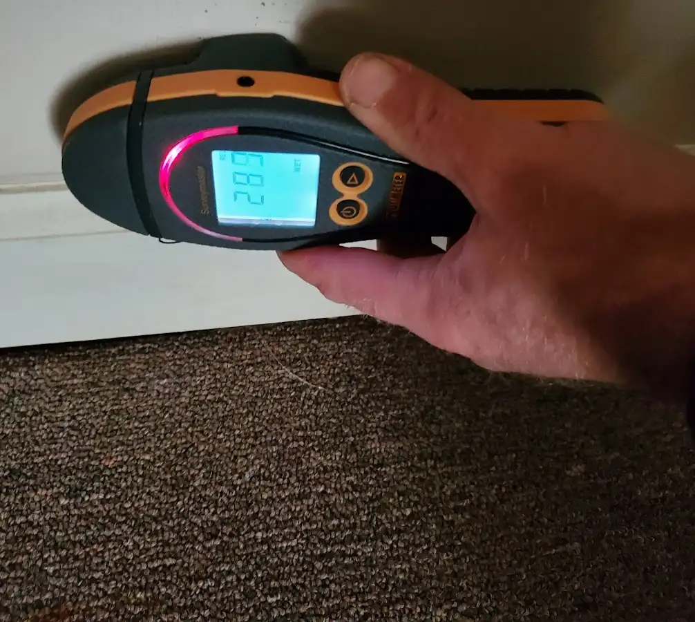 Moisture detection at baseboard during Sewage Cleanup & Sanitation in Sturgis